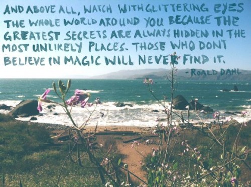 Dahl Quote